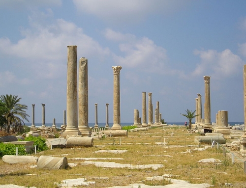 La palabra de Dios nunca fallará