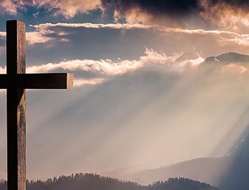 A New Life in Christ